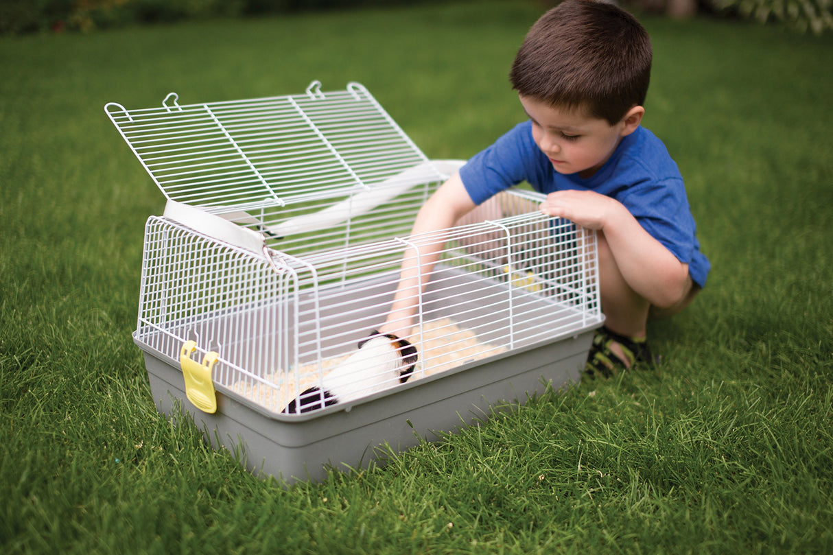 Prevue Pet Products Small Animal Travel Carrier - Hamster, Bird, Parakeet, Gerbil, Rabbit, Ferret, Guinea Pig, & Rat Carrier, Easy Pet Transportation, Travel Bird Cage, Lightweight & Portable - Gray