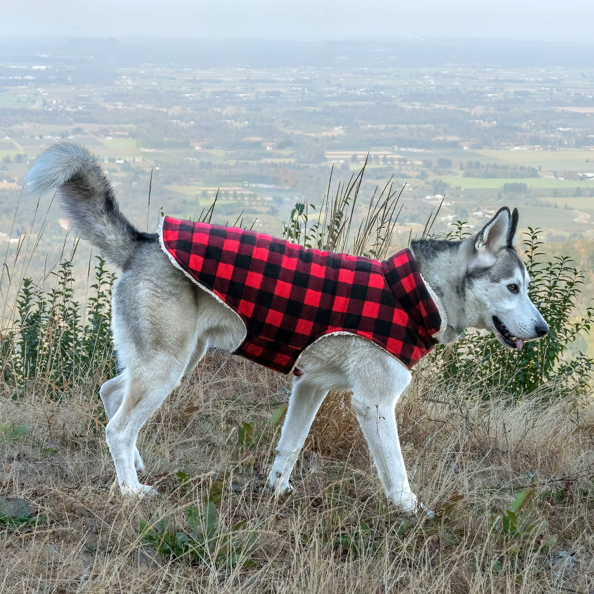 Furhaven Reversible XL Dog Coat, Washable & Insulating w/ Leash Access - Sherpa & Plaid Fleece Flex-Fit Jacket - Cream/Red, Extra Large