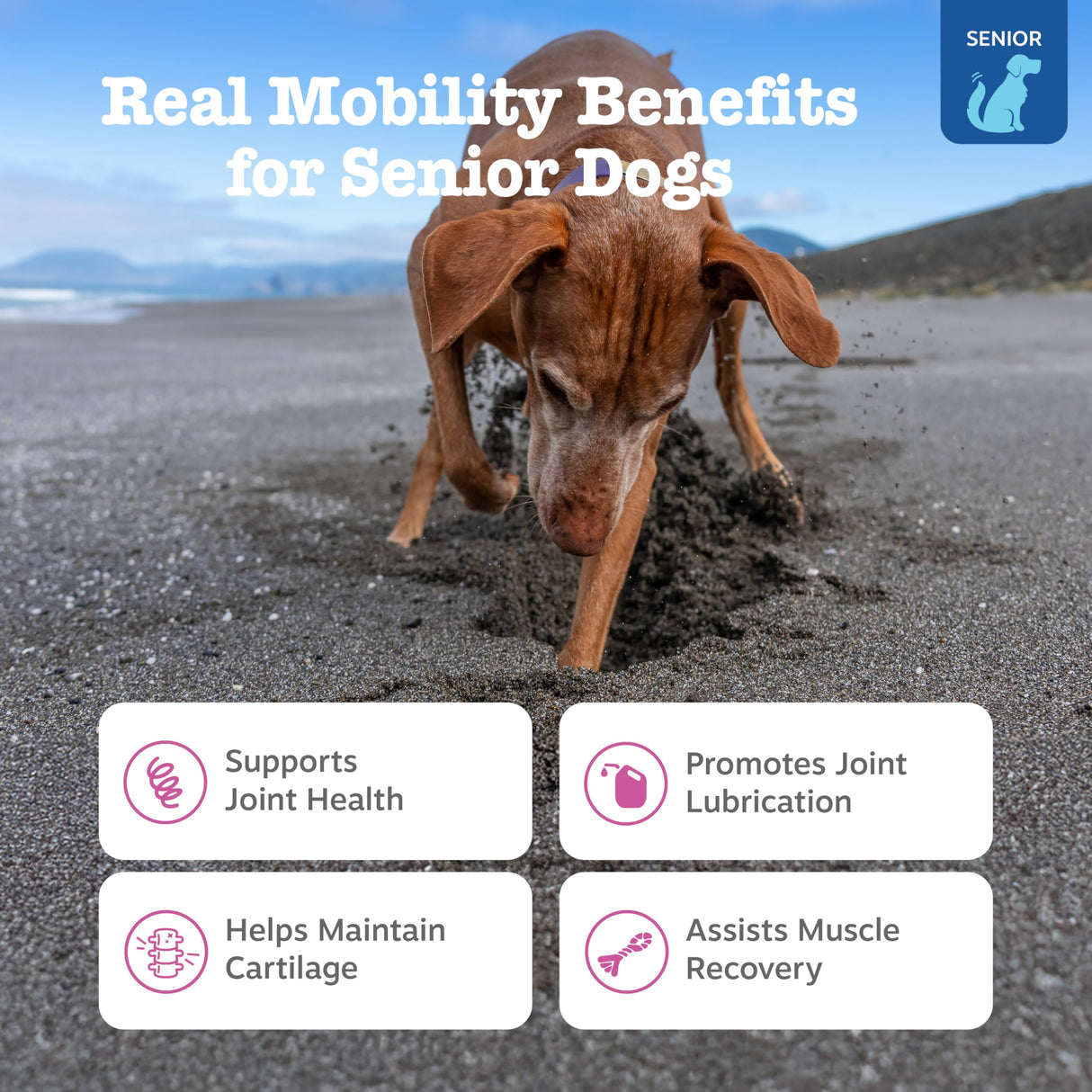 Zesty Paws Mobility Bites Joint Supplement for Dogs - Soft Chews with Glucosamine for Dogs, Chondroitin, & MSM + Vitamins C and E - Adv Chicken - 90 Count