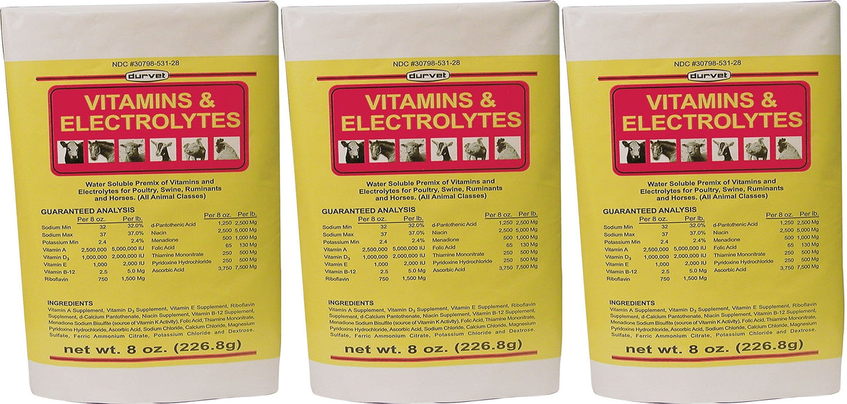 (3 Pack) DURVET 136028 vitamins & Electrolytes, 8 oz3