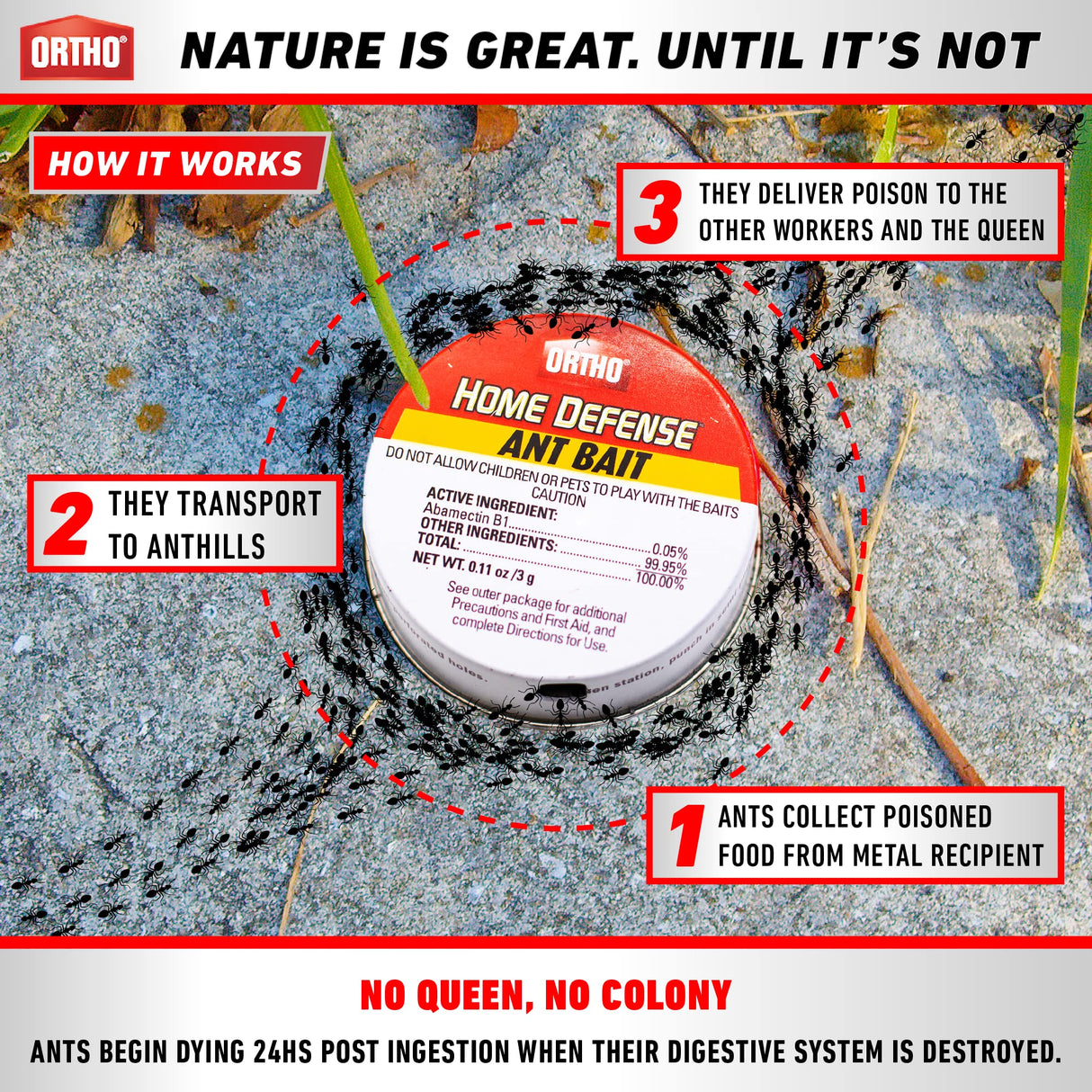 Ant Killer by Ortho Home Defense 20Pk|Metal Ant Traps Indoor & Ant Killer Outdoor | Ant Killer Indoor Safe for Pets and Kids |Effective Ant Trap & Ant Bait Indoor Ant Killer | Ants Killer for House