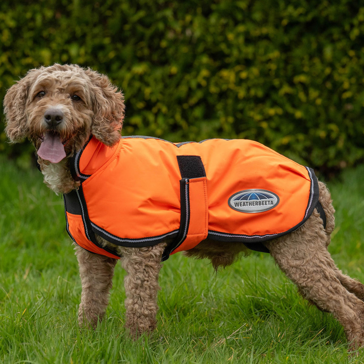 WeatherBeeta ComFiTec Reflective Parka 300D Deluxe Dog Coat, Orange, 14"
