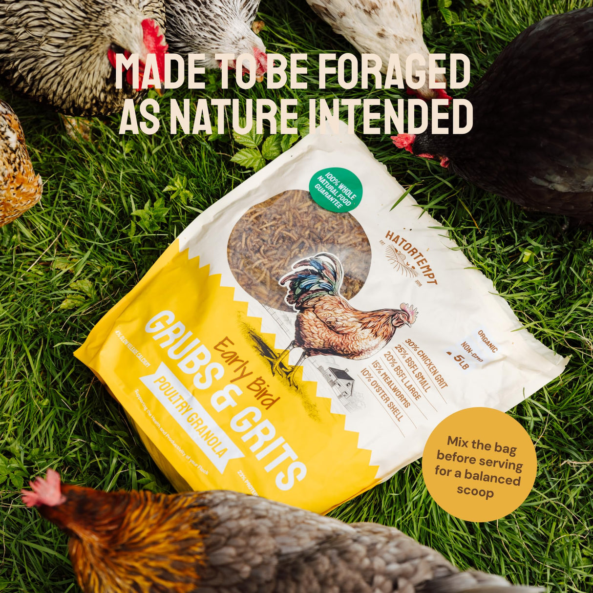 Hatortempt Chicken Feed Supplement - Non-GMO - Protein-Rich Mealworms, Black Soldier Fly Larvae & Oyster Shell - Calcium Grit Treats for Chickens - Egg Layer Feed Supplement (10 lb)