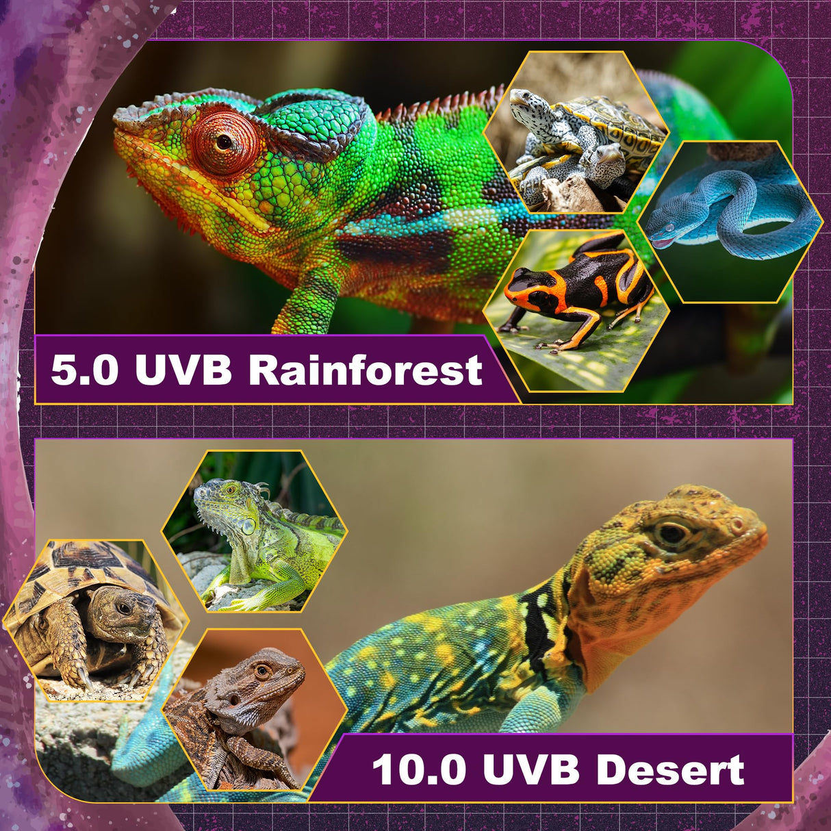 T5 HO UVB Lighting Combo Kit, 8W Reptile Light Fixture with Fluorescent Light Bulbs, Tropical 5.0 UVB Light for Reptiles and Amphibians, Basking Light for Bearded Dragon, High Output Natural Light