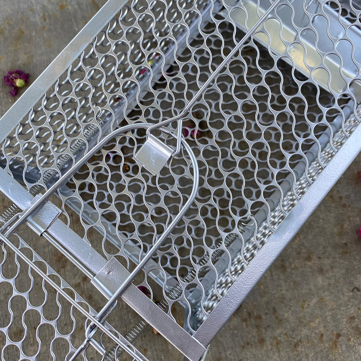 2PACK Live Humane Cage Mouse Trap Rat Catch Control Bait Hunting Survival for Indoor and Outdoor,Small Rodent Animal-Mice Voles Hamsters Cage (4.5x11x5.8 inch)