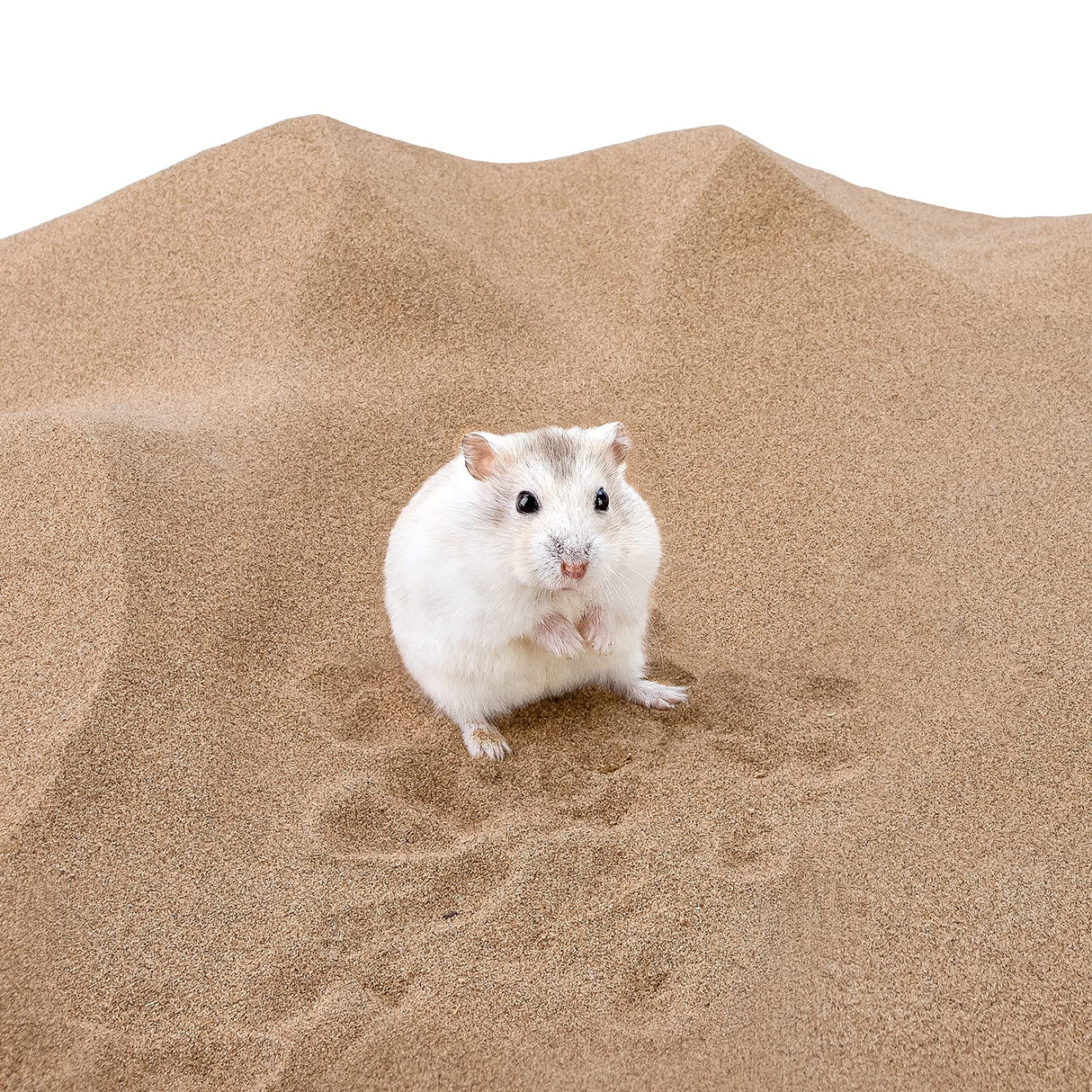 Niteangel Hamster Desert Bath Sand | No-Dust Bath or Potty Litter Sand for Hamster Chinchillas Gerbil Mice Degu or Other Small Pets