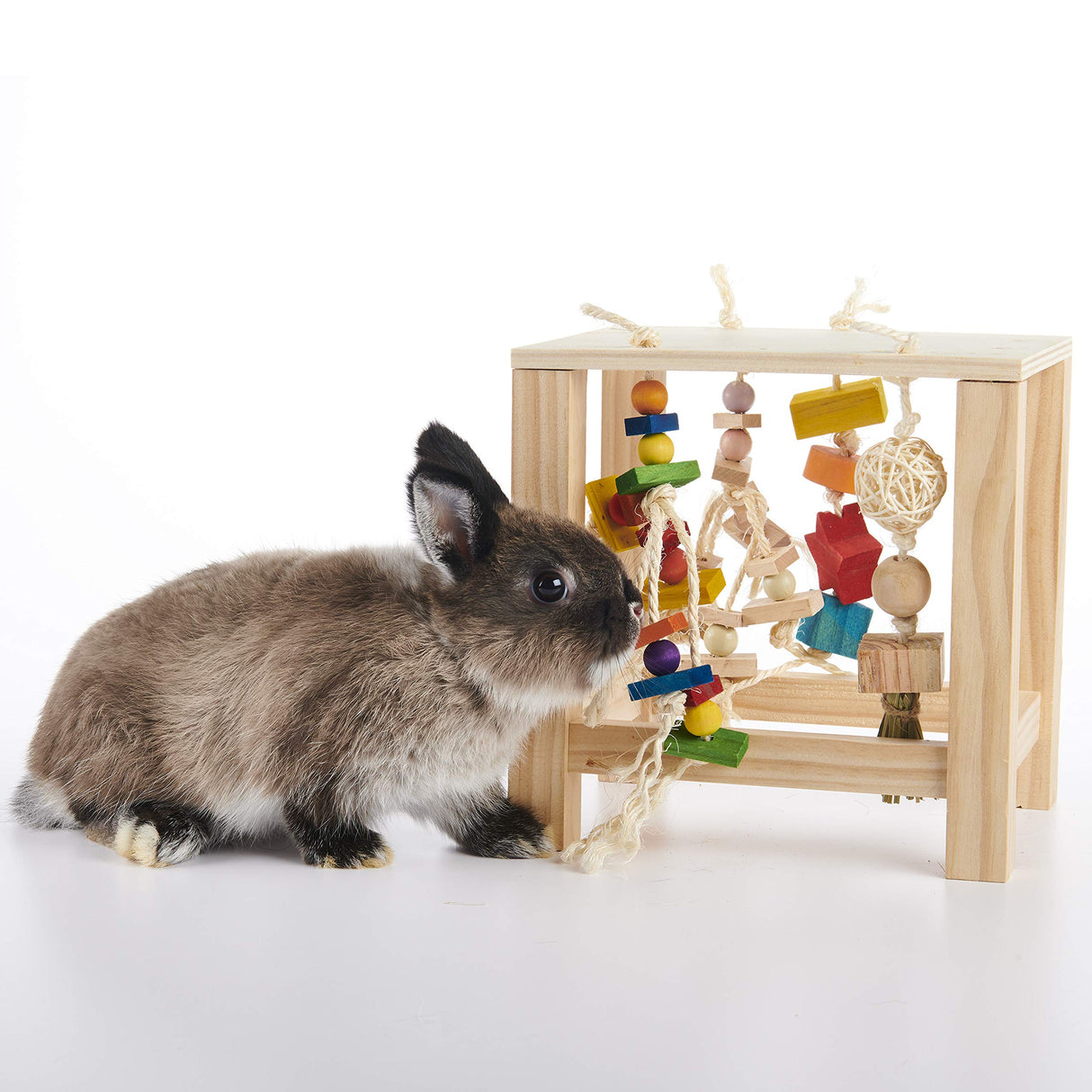 Oxbow Enriched Life Play Table, Rabbit Toys, Guinea Pig Toys, Enrichment for Bunny, Guinea Pig, Hamster, Rabbit, Chinchilla, Rat, Chinchilla Cage Accessories, Small Pet Accessories for Cage