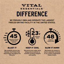 Load image into Gallery viewer, Vital Essentials Salmon Bites Dog Treats, 5 oz | Freeze-Dried Raw | Single Protein | Premium Quality High Protein Training Treats | Grain Free, Gluten Free, Filler Free