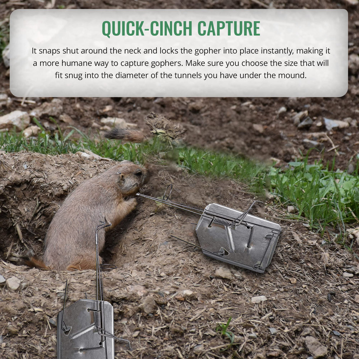 Cinch Gopher Trap Kit - Professional-Grade Gopher Traps That Work Best, Heavy Duty, Reusable Rodent Trapping System - Ideal for Lawns, Gardens, Ranches, and More - Outdoor Use, Small (3 Pack)