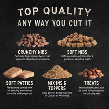 Load image into Gallery viewer, Vital Essentials Salmon Bites Dog Treats, 5 oz | Freeze-Dried Raw | Single Protein | Premium Quality High Protein Training Treats | Grain Free, Gluten Free, Filler Free