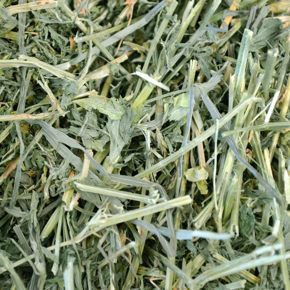 Oxbow Alfalfa, Guinea Pig Hay, Rabbit Hay, Small Pet Bunny Supplies, All Natural Grass for Guinea Pig, Bunny, Chinchilla & Hamster, Oxbow Rabbit Supplies, Grown in USA, 9 lb box