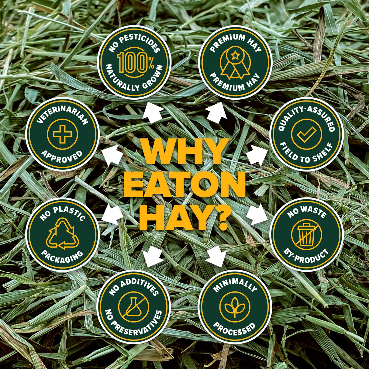 Eaton Pet and Pasture Naturally Grown, Premium, 1st Cut Blend, Western Timothy Hay Orchard Blend, Small Animal Food, Sustainable, Eco-Friendly, Farmer-Owned, 25LB-Box.