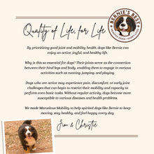 Load image into Gallery viewer, Bernie's Marvelous Mobility - Daily Total Joint Support for Dogs - 90 Soft Chews - Maintain & Rebuild Mobility, Supports Joint Tissue Health