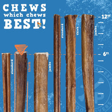 Load image into Gallery viewer, Jack&Pup 6 Inch Bully Sticks for Dogs (5 Pack) Extra Thick Dog Chews Long Lasting, Single Ingredient, 100% Beef Bully Sticks for Large Dogs