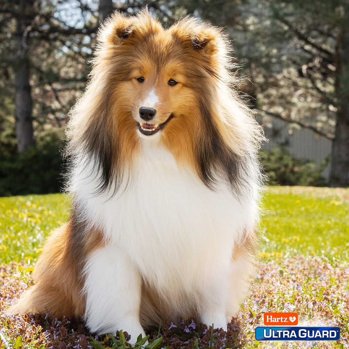 Hartz UltraGuard Pro Flea & Tick Topical Dogs & Puppies Treatment & Prevention, 6 Months, 61-150 lbs