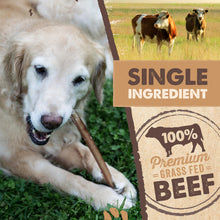 Load image into Gallery viewer, Mighty Paw Long Lasting 12" Bully Sticks for Dogs - All Natural Grass Fed Beef Chews. Lower Odor Dog Bully Sticks for Large Dogs, Medium and Small Breeds. Single Ingredient Treats