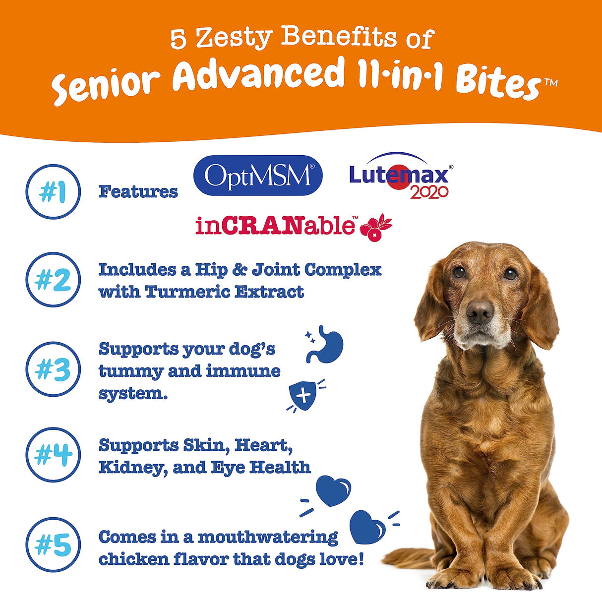 Zesty Paws Senior Dog Multivitamin Treats - Glucosamine for Dogs + Digestive Enzymes & Probiotics - Grain Free Dog Vitamins and Supplements for Skin & Coat + Immune Health Chicken - Advanced - 90ct