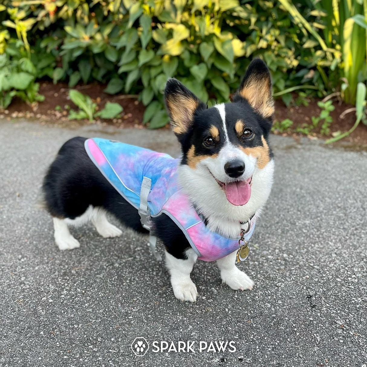 Spark Paws Dog Cooling Vest - SPF 50 UV Sun Protection - Summer Heat Relief Gear for Dogs, Lightweight, Evaporative Cooling - Dog Anxiety Relief Vest During Hot Days - Snowcone, Medium