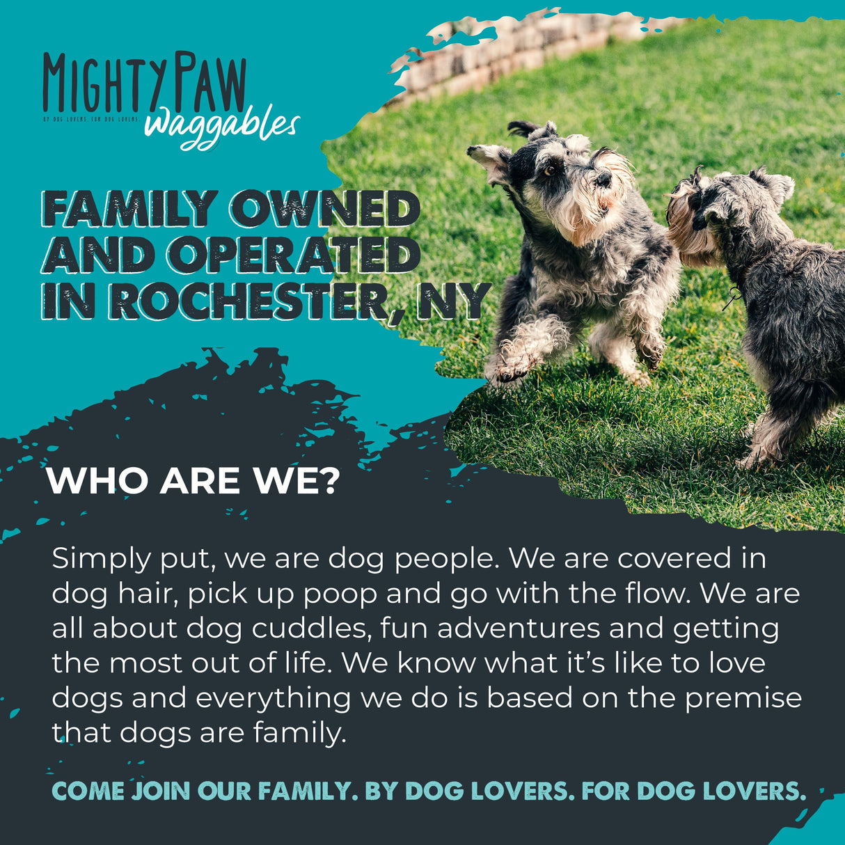 Mighty Paw Waggables Joint Support Supplement for Dogs (Made in USA) | Glucosamine for Dogs Hip and Joint Supplement. Vet Formulated Pet Mobility, Chondriotin & MSM Pet Chews (120 Ct)