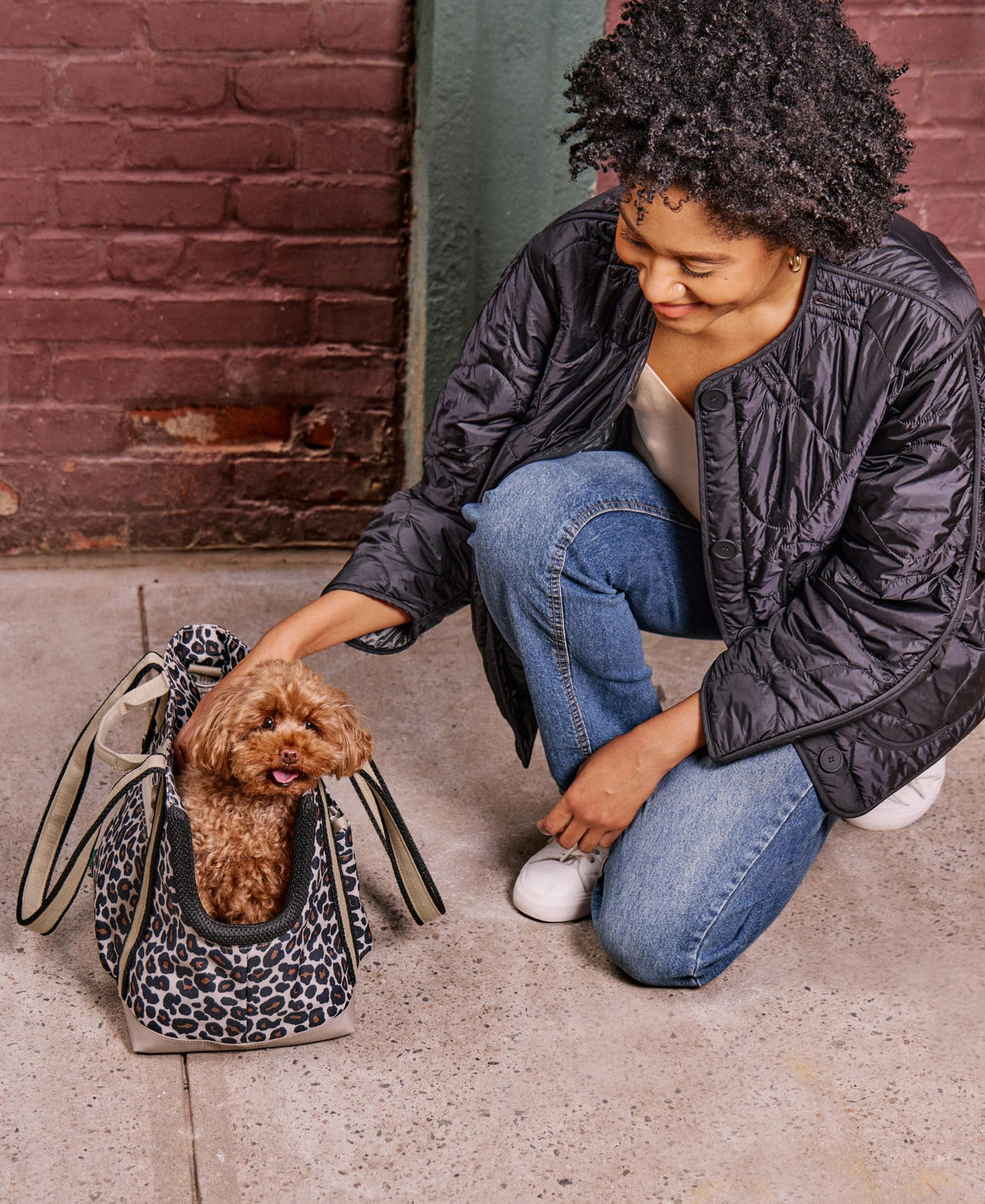 Cleverpup Transit Tote Dog Carrier for Small Dogs up to 8 lbs, 16x11x8 Soft-Sided 4-Pc Set with Waterproof Base, Plush Insert, Food Pouch, Mesh Head Opening - Small, Leopard