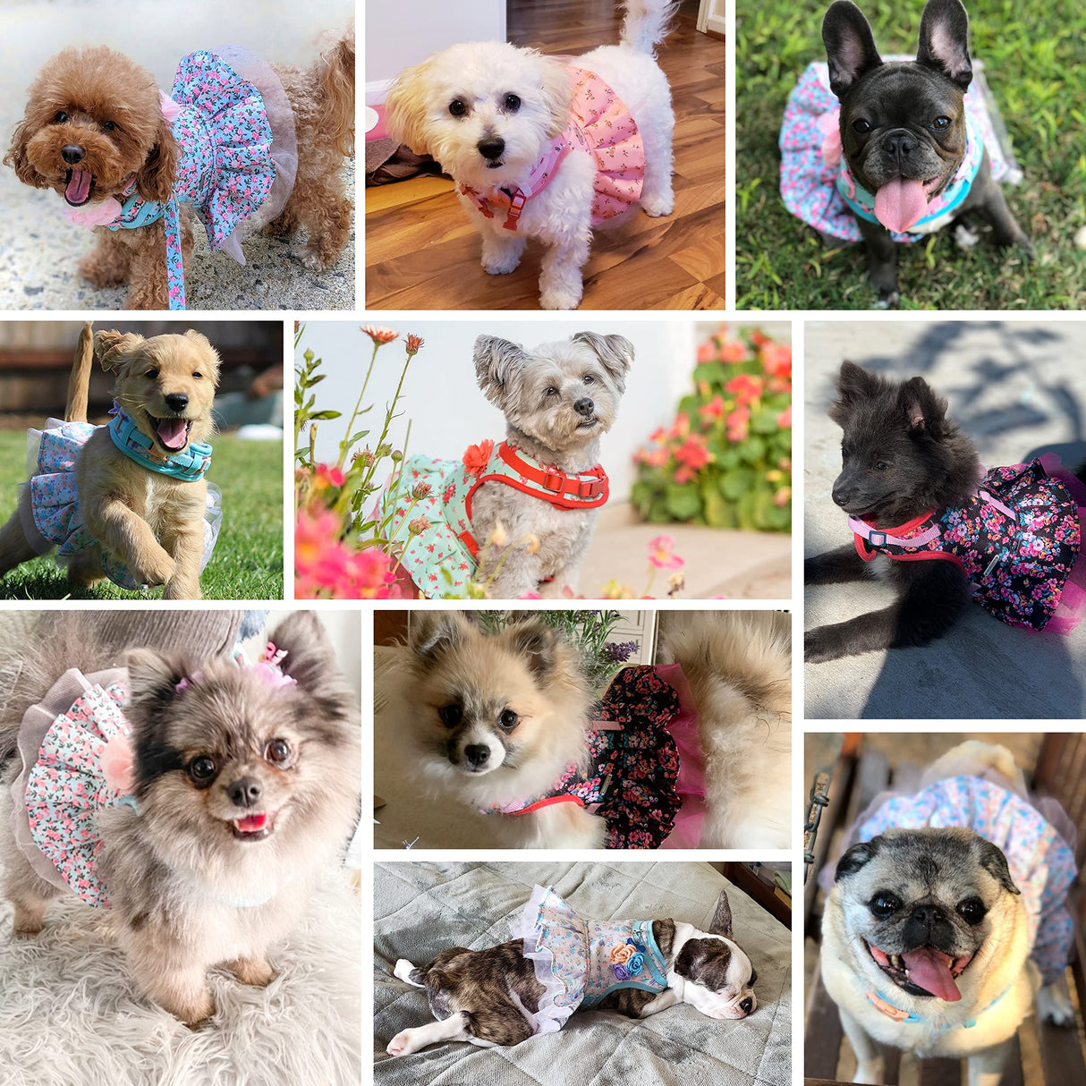 Blueberry Pet New Soft & Comfy Made Well Elegant Floral No Pull Mesh Dog Costume Harness Dress in Sleek Black, Chest Girth 19"-21", Small, Adjustable Harnesses for Dogs