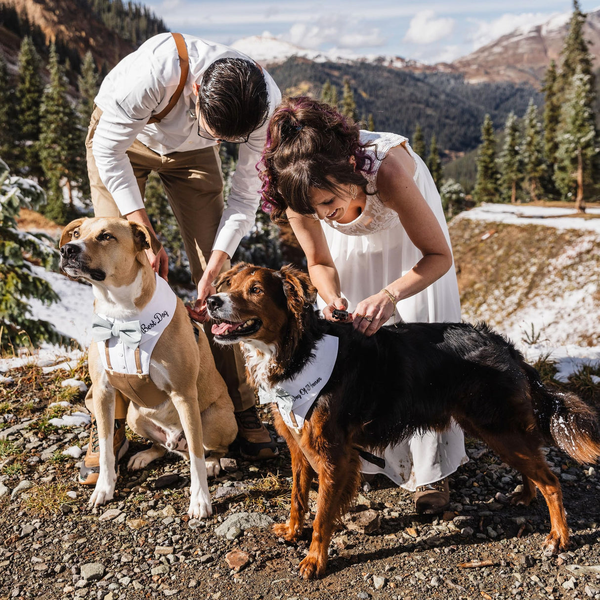Personalized Best Dog Harness with Bow Tie, Suspenders & Custom Embroidered Text | Wedding Dog Tuxedo | Optional Ring Bearer Clasp | Perfect Attire for Wedding & Birthday by ACORD EU (Dark Gray)