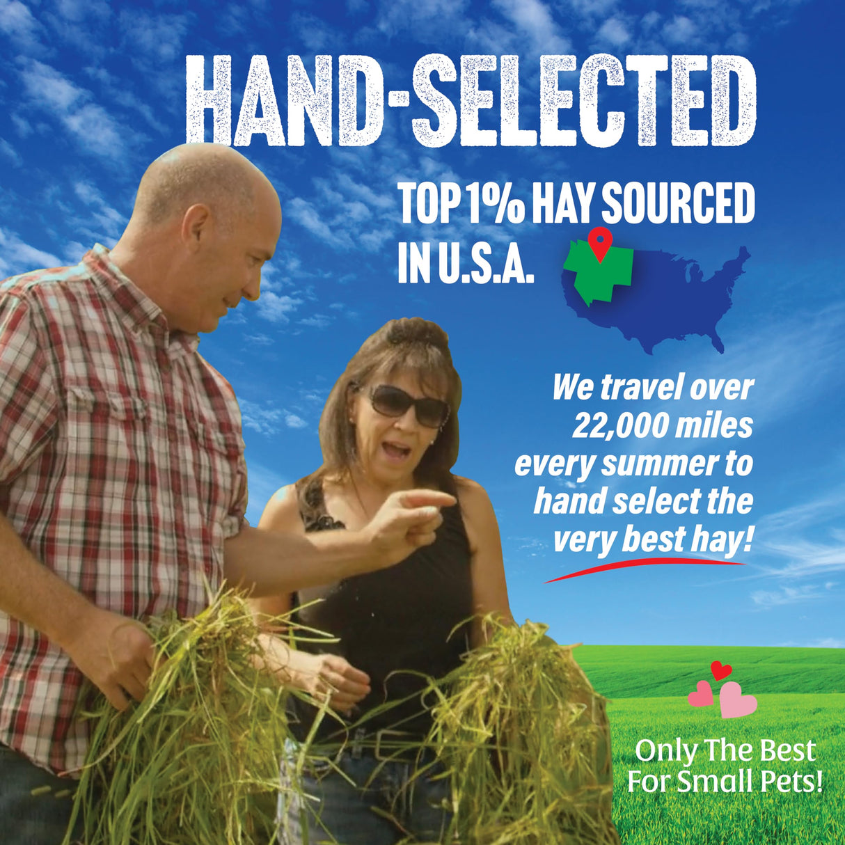 Small Pet Select 1st Cutting Timothy Hay, Animal Food for Guinea Pig, Rabbit, Hamster, Bunny, or Chinchilla, Natural Hay Grown in The USA, 40lb