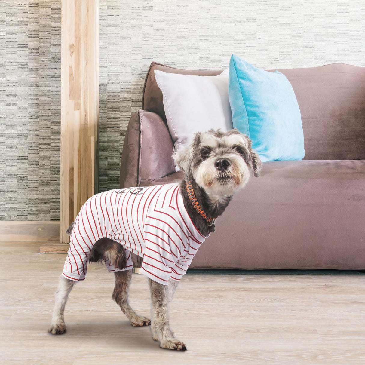2-Pack Cotton Dog Pajamas Lightweight Dog Onesies for Small Medium Dogs and Cats Puppy Body Suits Cute Baby Dog Jumpsuit I Love My Mommy/Daddy Printed Pet Clothes, Grey Stars/Red Stripes, M
