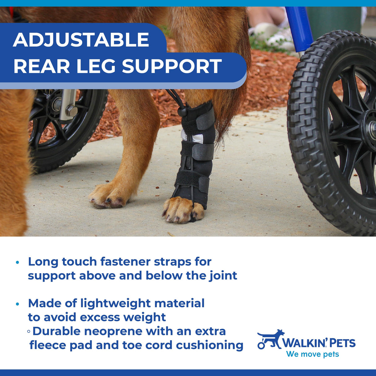 Walkin' Pets Rear No-Knuckling Training Socks for Dogs - 4-6 Inches, 30-60 lbs
