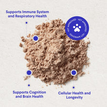 Load image into Gallery viewer, Wonder Paws Immune Support Mushroom Powder for Dogs – Organic Mushroom Complex for Immunity, Cognition, Cellular Health, Longevity - With Turkey Tail Mushroom for Dogs, Reishi & Lions Mane – 90 Scoops