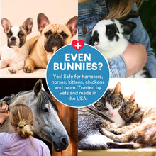 Load image into Gallery viewer, SkinSmart Antimicrobial Wound Care for Pets, Hypochlorous Acid Removes Bacteria to Promote Healing and Relieves Itch, Safe if Licked, 8 Ounce Spray Bottle