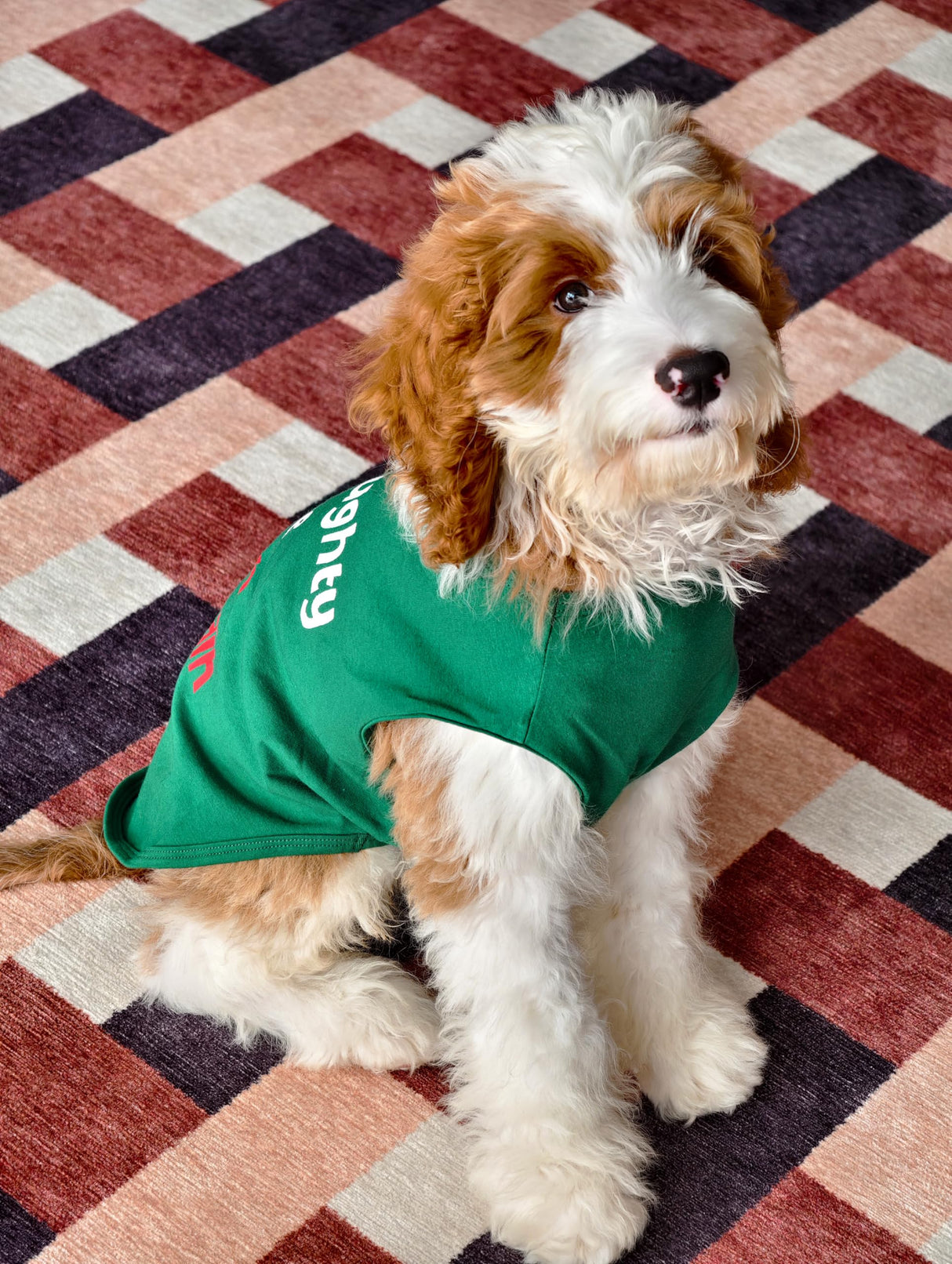 Fitwarm Naughty or Nice Christmas Dog Shirt, Dog Christmas Outfit for Small Dogs Boy Girl, Funny Doggy Tshirt, Pet Outfit, Green, Red, White, XXL