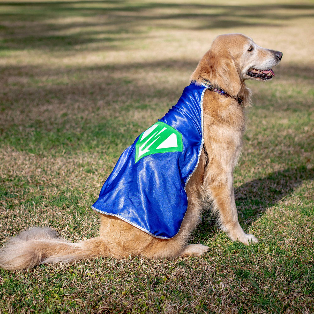 Everfan Personalized Dog Superhero Cape (X Large 25" Long (50-90 lbs), Navy Blue)