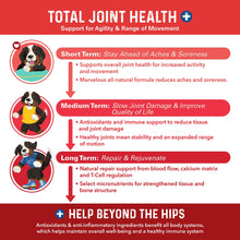 Load image into Gallery viewer, Bernie's Marvelous Mobility - Daily Total Joint Support for Dogs - 90 Soft Chews - Maintain & Rebuild Mobility, Supports Joint Tissue Health