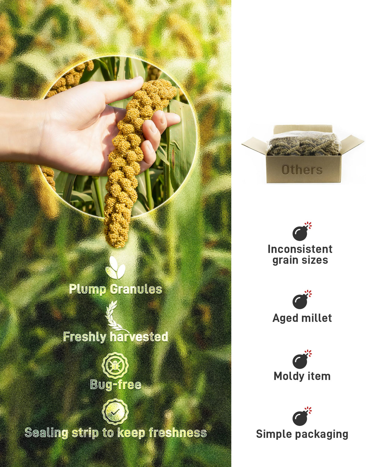 BUCATSTATE Spray Millet for Birds, Sun-Dried Healthy Millet Parakeet Treats for Parrots Cockatiel Lovebird Finch, GMO-Free Parakeet Food - 1.1lb