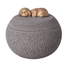 Load image into Gallery viewer, Pet Urn Cremation Memorial Urn Pets Supplies Keeping Precious Memories Urn Box for Burial Final Comforting Resting Place Funeral