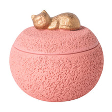 Load image into Gallery viewer, Pet Urn Cremation Memorial Urn Pets Supplies Keeping Precious Memories Urn Box for Burial Final Comforting Resting Place Funeral