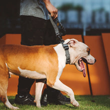 Load image into Gallery viewer, Dog Collar Durable Tactical Pet Collar Adjustable Nylon Collars Medium Large Dog German Shepherd Training Collar s Accessories