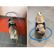 Load image into Gallery viewer, Blind Pet Anti-collision Collar Dog Guide Training Behavior Aids fit small big Dogs Prevent Collision collars supplies