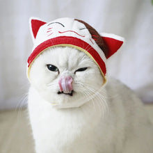 Load image into Gallery viewer, Hat for a Cat Hats for Dogs Accessories Cosplay Cat Costume Kawaii Cute Dog Hat Funny Pet Prodcuts for Bulldog Chihuahua Kitten