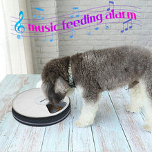 Load image into Gallery viewer, Round Timing Feeder Automatic Pet Feeder 6 Meals 6 Grids Cat Dog Electric Dry Food Dispenser 24 Hours Feed Pet Supplies 40% Off