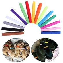 Load image into Gallery viewer, 15pcs/Set Adjustable ID Collars Dog Collar Personalized Nylon Pet Dog Tag Collar Custom Puppy Cat Nameplate Large Dogs Engraved