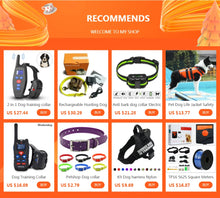 Load image into Gallery viewer, Blind Pet Anti-collision Collar Dog Guide Training Behavior Aids fit small big Dogs Prevent Collision collars supplies