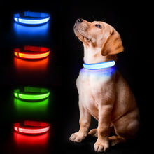 Load image into Gallery viewer, MASBRILL LED Dog Collar Luminous Pet Supplies Dog Collar Waterpoof Safety Glow Necklace Flashing Lighting Up Collars Accessories