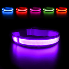 Load image into Gallery viewer, MASBRILL LED Dog Collar Luminous Pet Supplies Dog Collar Waterpoof Safety Glow Necklace Flashing Lighting Up Collars Accessories