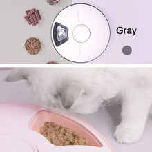 Load image into Gallery viewer, 6 Meal Trays, Digital Timer, Portion Control, with Voice Recorder, Automatic Feeder for Dogs and Cats, Dry and Wet Food