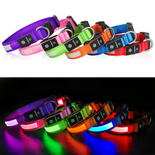 Load image into Gallery viewer, MASBRILL Dog Collar Luminous Pet Supplies Dog Collar Waterpoof Safety Collars dropship
