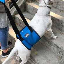 Load image into Gallery viewer, Dog Harnesses Pet Lifting Support Vest Old Injured Dog Walking Dog Vest Stair Support Adjustable Dog Sling Back Legs Hip Support