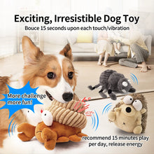 Load image into Gallery viewer, Interactive Dog Toy Plush Dog Toy Dancing Dog Toy Ball Dog Toy Dog Chew Toy Dog Fetch Toy Plush Puppy Toy Small Dog Toy