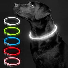 Load image into Gallery viewer, Luminous Dog Collar Light Charge Cat Necklace, Led Fashion Flashing DIY Glowing Safety Collar for Dogs Nighttime Pet Accessorie